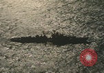 Standbild US-Flugzeugträger-Zerstörer segeln Japanisches Meer, 1968, aus Sekunde 56 historischem Filmmaterial Videoclip 65675079583