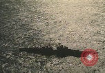 Standbild US-Flugzeugträger-Zerstörer segeln Japanisches Meer, 1968, aus Sekunde 58 historischem Filmmaterial Videoclip 65675079583