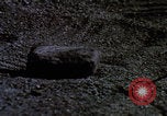 Standbild Astronauten bei der Missionsprobe von Apollo 11 Florida United States USA, 1969, aus Sekunde 23 historischem Filmmaterial Videoclip 65675079591