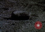 Standbild Astronauten bei der Missionsprobe von Apollo 11 Florida United States USA, 1969, aus Sekunde 27 historischem Filmmaterial Videoclip 65675079591