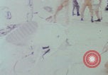 Standbild Astronauten-Schwerelosigkeitstraining Florida United States USA, 1969, aus Sekunde 1 historischem Filmmaterial Videoclip 65675079593