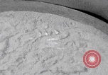 Image of Palestinian boy and mother making bread Palestine, 1941, second 12 stock footage video 65675079606