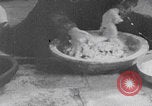 Image of Palestinian boy and mother making bread Palestine, 1941, second 40 stock footage video 65675079606