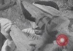 Immagine di Falegname palestinese al lavoro Palestina, 1941, secondo 29 filmato di repertorio 65675079608