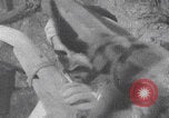 Immagine di Falegname palestinese al lavoro Palestina, 1941, secondo 31 filmato di repertorio 65675079608