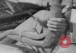 Immagine di Falegname palestinese al lavoro Palestina, 1941, secondo 45 filmato di repertorio 65675079608