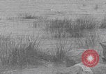 Standbild Fischer bei der Arbeit am See Genezareth Palästina, 1941, aus Sekunde 14 historischem Filmmaterial Videoclip 65675079610