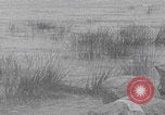 Standbild Fischer bei der Arbeit am See Genezareth Palästina, 1941, aus Sekunde 15 historischem Filmmaterial Videoclip 65675079610