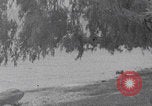 Standbild Fischer bei der Arbeit am See Genezareth Palästina, 1941, aus Sekunde 36 historischem Filmmaterial Videoclip 65675079610