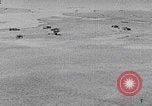 Image of Palestine ancient archaeological sites Palestine, 1941, second 61 stock footage video 65675079611