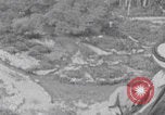 Image of Palestine landscape views Palestine, 1941, second 10 stock footage video 65675079612