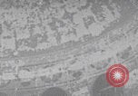 Image of Palm Sunday Christian service Jerusalem Palestine, 1941, second 36 stock footage video 65675079614