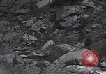 Image of Rocky Mountain National Park car driving Colorado United States USA, 1927, second 56 stock footage video 65675079627