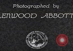 Standbild Touristen am Tioga Mountain Pass California United States USA, 1937, aus Sekunde 7 historischem Filmmaterial Videoclip 65675079628