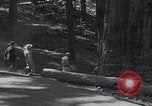 Standbild Touristen am Tioga Mountain Pass California United States USA, 1937, aus Sekunde 48 historischem Filmmaterial Videoclip 65675079628