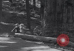 Standbild Touristen am Tioga Mountain Pass California United States USA, 1937, aus Sekunde 49 historischem Filmmaterial Videoclip 65675079628