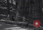 Standbild Touristen am Tioga Mountain Pass California United States USA, 1937, aus Sekunde 51 historischem Filmmaterial Videoclip 65675079628