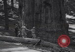 Standbild Touristen am Tioga Mountain Pass California United States USA, 1937, aus Sekunde 52 historischem Filmmaterial Videoclip 65675079628