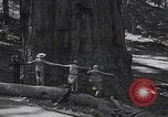 Standbild Touristen am Tioga Mountain Pass California United States USA, 1937, aus Sekunde 54 historischem Filmmaterial Videoclip 65675079628