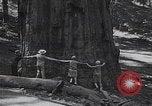 Standbild Touristen am Tioga Mountain Pass California United States USA, 1937, aus Sekunde 55 historischem Filmmaterial Videoclip 65675079628