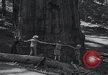 Standbild Touristen am Tioga Mountain Pass California United States USA, 1937, aus Sekunde 57 historischem Filmmaterial Videoclip 65675079628