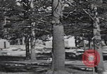 Standbild Touristen im Yosemite-Nationalpark California United States USA, 1937, aus Sekunde 53 historischem Filmmaterial Videoclip 65675079629