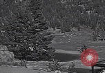 Standbild Fahrt durch den Tioga Mountain Pass California United States USA, 1937, aus Sekunde 61 historischem Filmmaterial Videoclip 65675079630