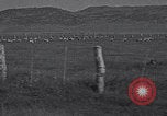 Image of Carson Valley California driving California United States USA, 1937, second 7 stock footage video 65675079635