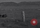 Image of Carson Valley California driving California United States USA, 1937, second 8 stock footage video 65675079635
