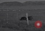 Image of Carson Valley California driving California United States USA, 1937, second 9 stock footage video 65675079635
