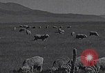 Image of Carson Valley California driving California United States USA, 1937, second 11 stock footage video 65675079635