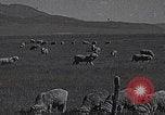Image of Carson Valley California driving California United States USA, 1937, second 12 stock footage video 65675079635
