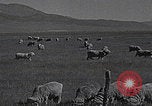 Image of Carson Valley California driving California United States USA, 1937, second 13 stock footage video 65675079635