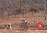 Image of US Marines with rifles Guantanamo Bay  Guantanamo Bay Cuba, 1976, second 51 stock footage video 65675079661