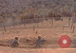 Image of US Marines with rifles Guantanamo Bay  Guantanamo Bay Cuba, 1976, second 52 stock footage video 65675079661