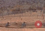 Image of US Marines with rifles Guantanamo Bay  Guantanamo Bay Cuba, 1976, second 53 stock footage video 65675079661