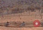 Image of US Marines with rifles Guantanamo Bay  Guantanamo Bay Cuba, 1976, second 54 stock footage video 65675079661