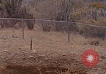 Image of US Marines with rifles Guantanamo Bay  Guantanamo Bay Cuba, 1976, second 57 stock footage video 65675079661
