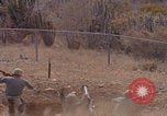 Image of US Marines with rifles Guantanamo Bay  Guantanamo Bay Cuba, 1976, second 61 stock footage video 65675079661