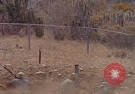 Image of US Marines with rifles Guantanamo Bay  Guantanamo Bay Cuba, 1976, second 62 stock footage video 65675079661