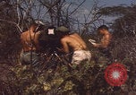 Image of US Naval Station Guantanamo Bay Cuba Guantanamo Bay Cuba, 1952, second 27 stock footage video 65675079668