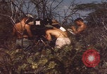 Image of US Naval Station Guantanamo Bay Cuba Guantanamo Bay Cuba, 1952, second 28 stock footage video 65675079668