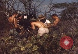 Image of US Naval Station Guantanamo Bay Cuba Guantanamo Bay Cuba, 1952, second 30 stock footage video 65675079668