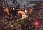 Image of US Naval Station Guantanamo Bay Cuba Guantanamo Bay Cuba, 1952, second 31 stock footage video 65675079668