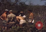 Image of US Naval Station Guantanamo Bay Cuba Guantanamo Bay Cuba, 1952, second 33 stock footage video 65675079668