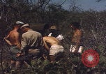 Image of US Naval Station Guantanamo Bay Cuba Guantanamo Bay Cuba, 1952, second 34 stock footage video 65675079668