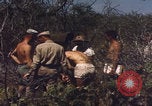 Image of US Naval Station Guantanamo Bay Cuba Guantanamo Bay Cuba, 1952, second 35 stock footage video 65675079668
