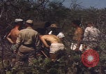 Image of US Naval Station Guantanamo Bay Cuba Guantanamo Bay Cuba, 1952, second 36 stock footage video 65675079668