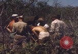 Image of US Naval Station Guantanamo Bay Cuba Guantanamo Bay Cuba, 1952, second 38 stock footage video 65675079668
