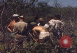 Image of US Naval Station Guantanamo Bay Cuba Guantanamo Bay Cuba, 1952, second 39 stock footage video 65675079668